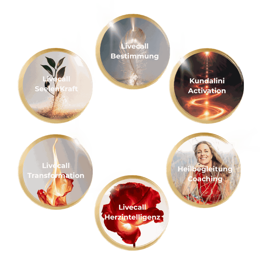In deiner Mitgliedschaft enthalten: Livecall Transformation, Livecall Herzintelligenz, Livecall Bestimmung, Livecall SeelenKraft, Kundalini Activation, Heilbegleitung und Coaching